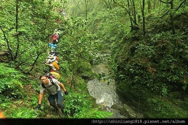 親子登山 南勢溪 檸檬樹露營區 溯溪 宜蘭