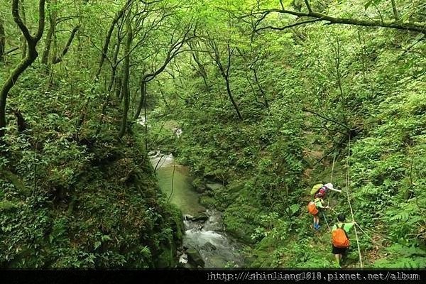 親子登山 南勢溪 檸檬樹露營區 溯溪 宜蘭