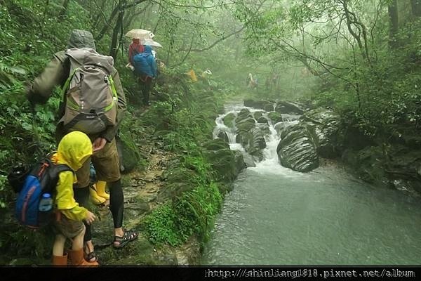 親子登山 南勢溪 檸檬樹露營區 溯溪 宜蘭