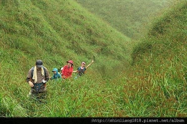 親子登山 南勢溪 檸檬樹露營區 溯溪 宜蘭