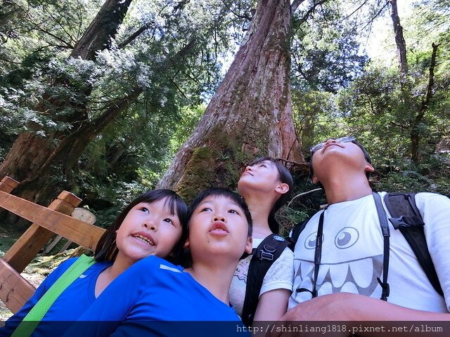 KEEN 武林盟主 編織鞋 水陸兩用鞋 登山鞋