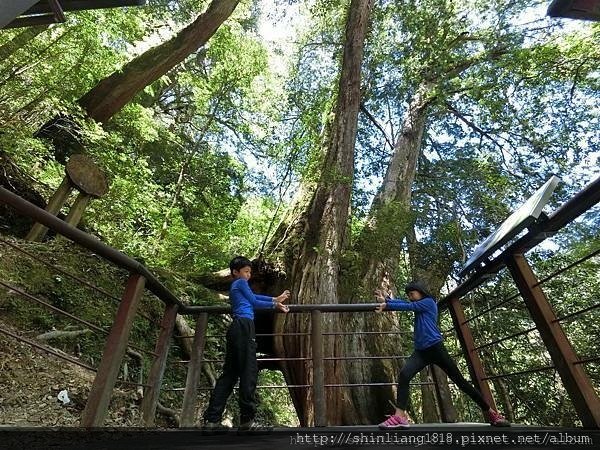 KEEN 武林盟主 編織鞋 水陸兩用鞋 登山鞋