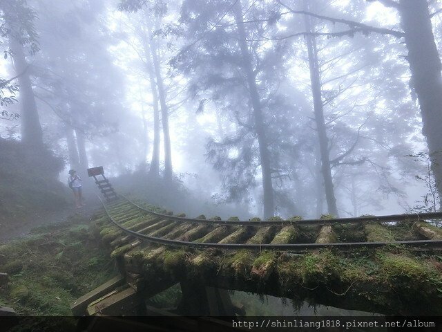 鳳梨屋露營區 松蘿園林露營區 太平山 翠峰湖 見晴步道