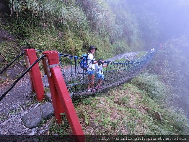 鳳梨屋露營區 松蘿園林露營區 太平山 翠峰湖 見晴步道