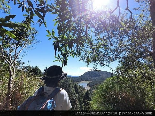 鳳梨屋露營區 松蘿園林露營區 太平山 翠峰湖 見晴步道