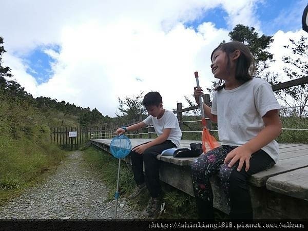 鳳梨屋露營區 松蘿園林露營區 太平山 翠峰湖 見晴步道