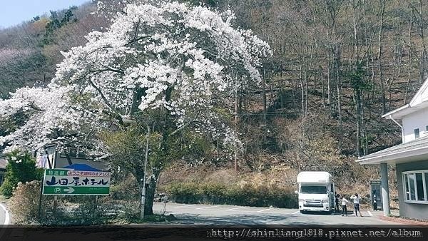 露營車 日本 親子露營 親子旅遊 小田原