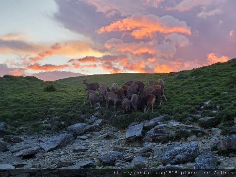 探索戶外 Marmot 野營 登山 露營