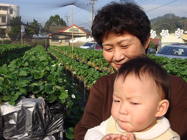 湖畔花時間和大湖草莓 154.jpg