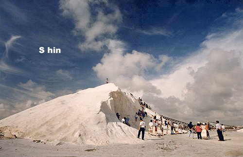 45