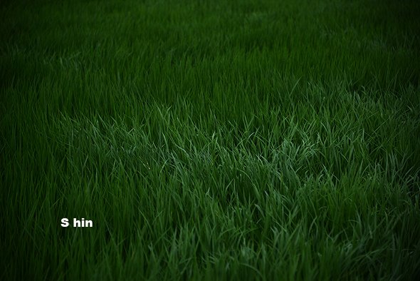 006.jpg