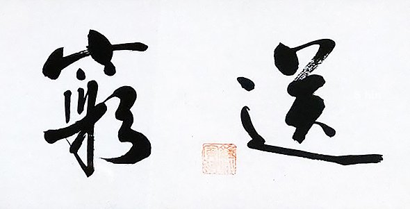 050.jpg