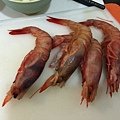 IMG_8923.JPG