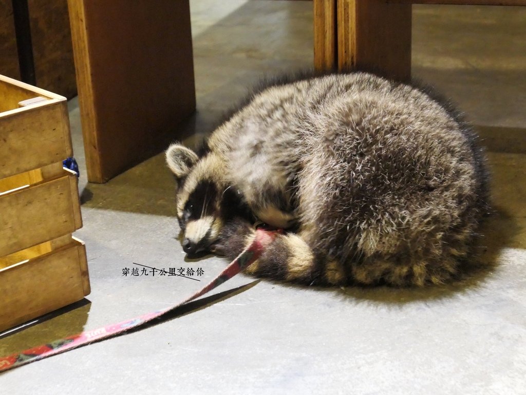 大台北早午餐/下午茶/咖啡廳懶人包（2025/1/2更新，累