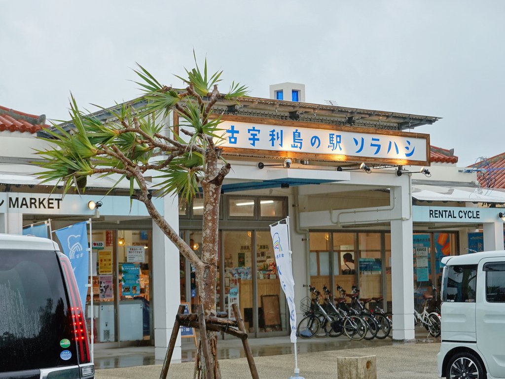 沖繩那霸—KKday沖繩中北部一日遊｜沖繩美之海水族館、古宇