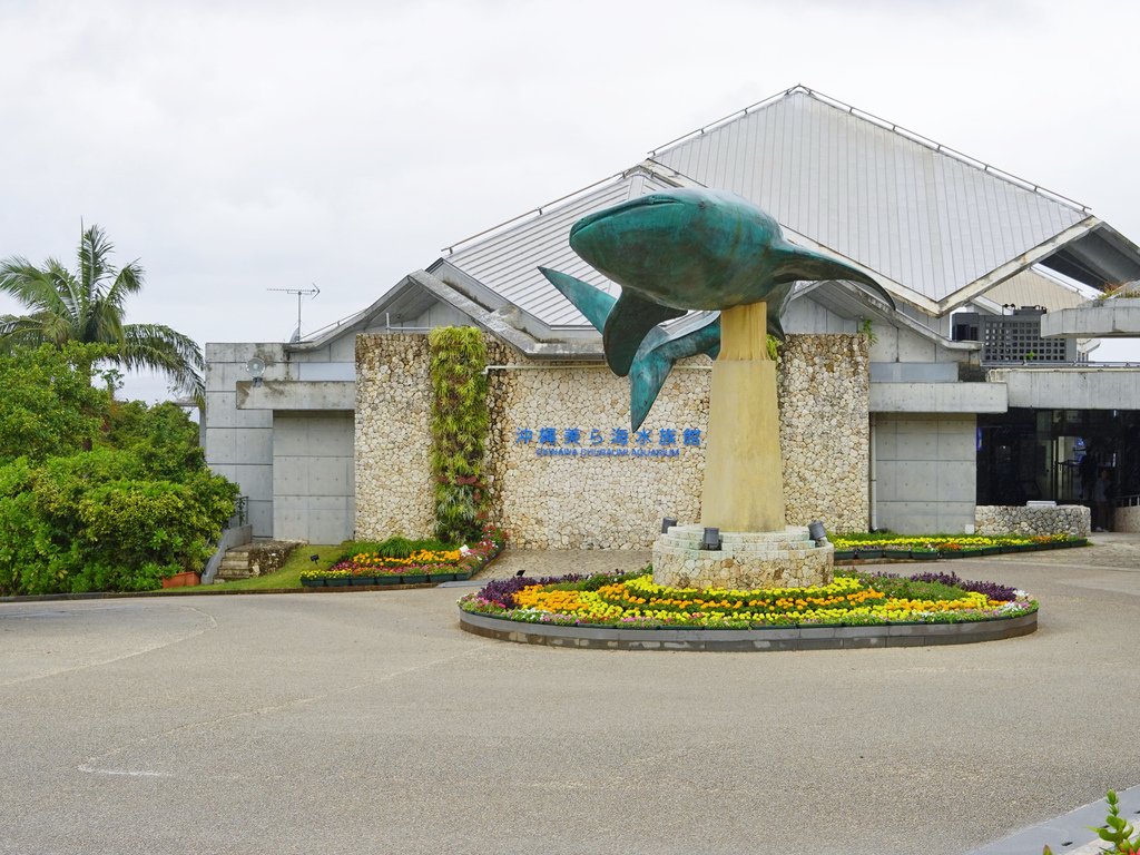 沖繩那霸—KKday沖繩中北部一日遊｜沖繩美之海水族館、古宇