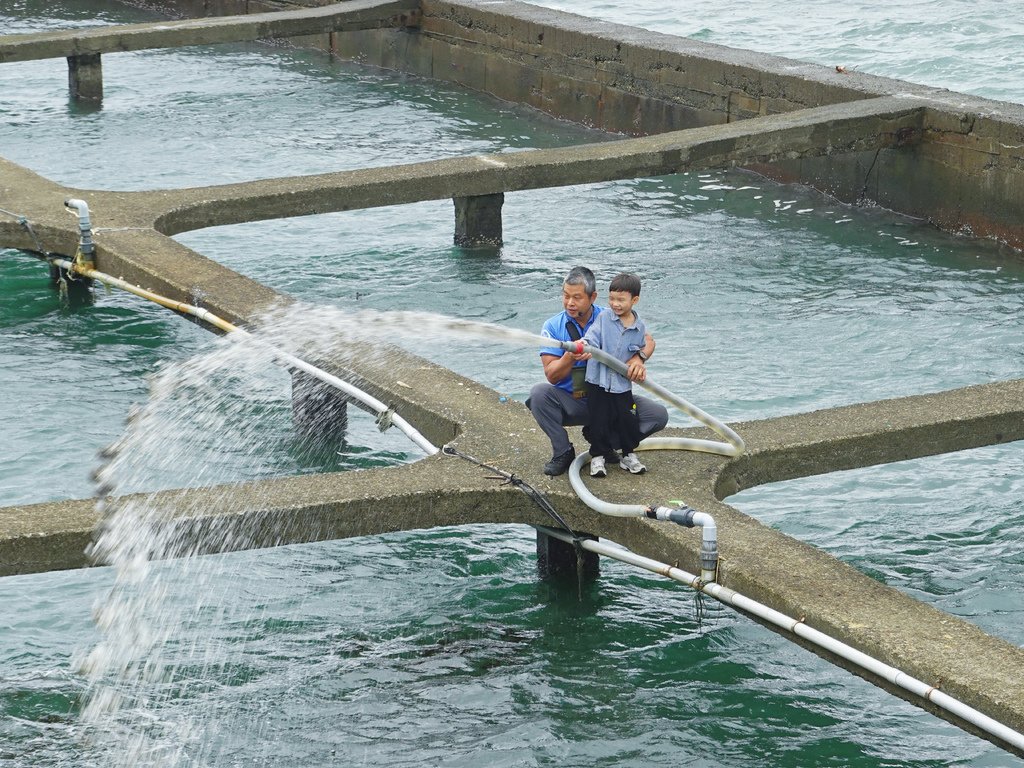 新北東北角休閒漁業廊道一日遊懶人包｜南雅社區、龍門社區、卯澳