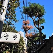 PB280406.JPG