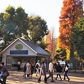 公園裡有動物園 太酷了！