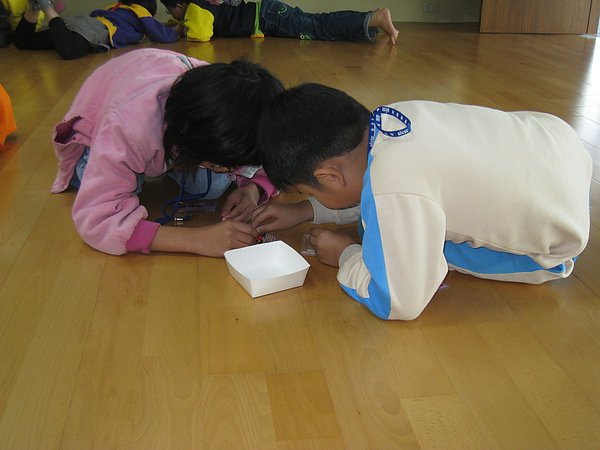 IMG_2010.JPG