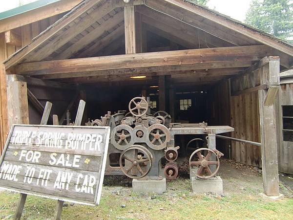 CIMG8379.JPG