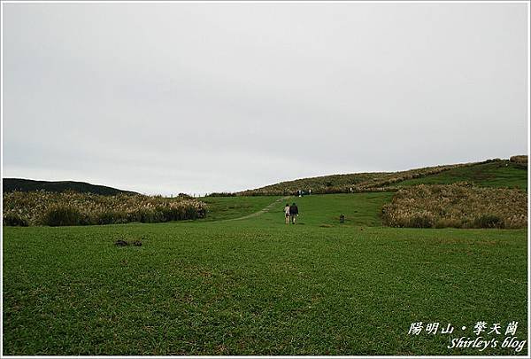 a23.jpg
