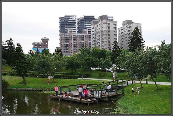 08.jpg