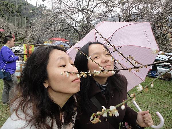 東埔溫泉 &amp; 信義鄉賞梅