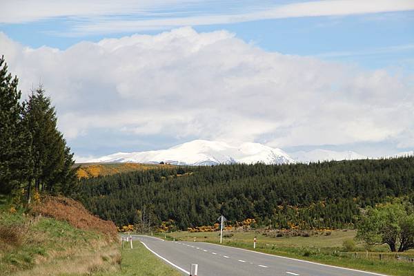 way to Tekapo