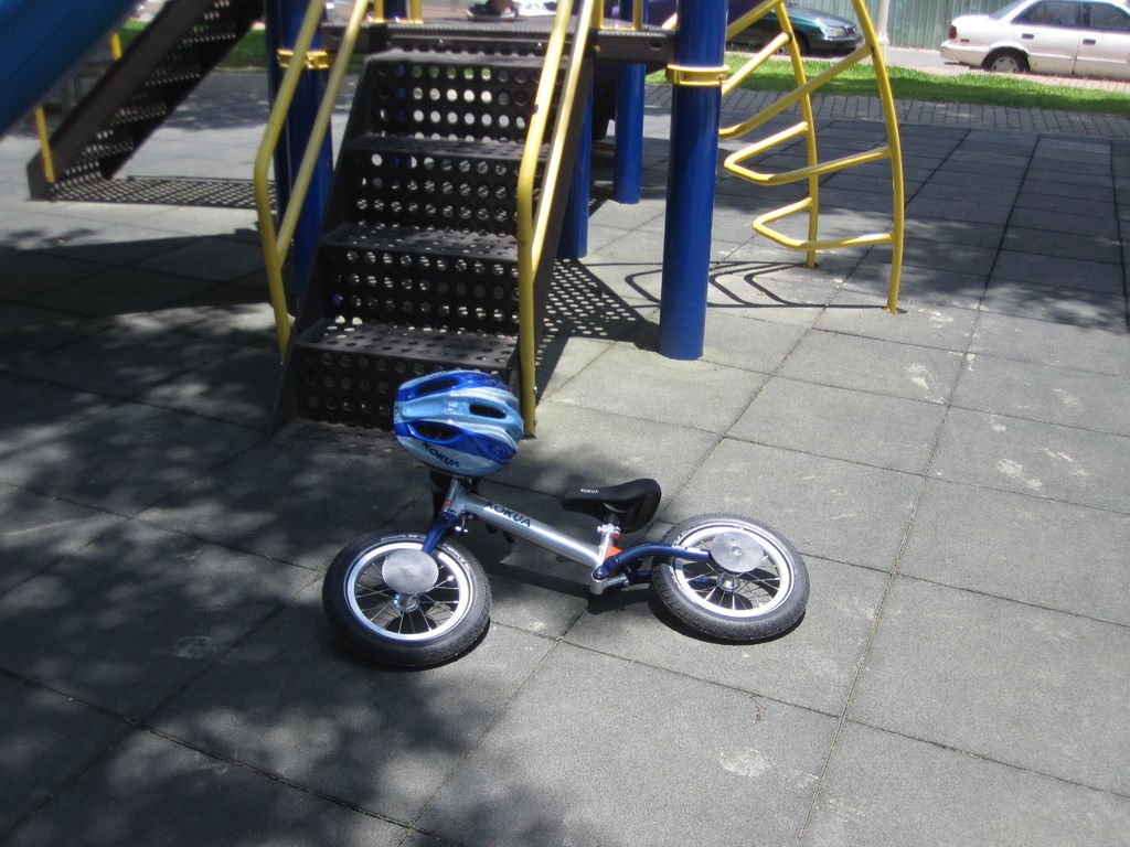 IMG_2887.jpg