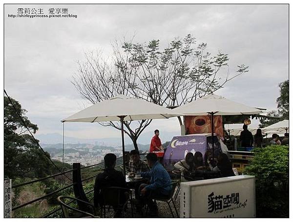 樟樹30.jpg