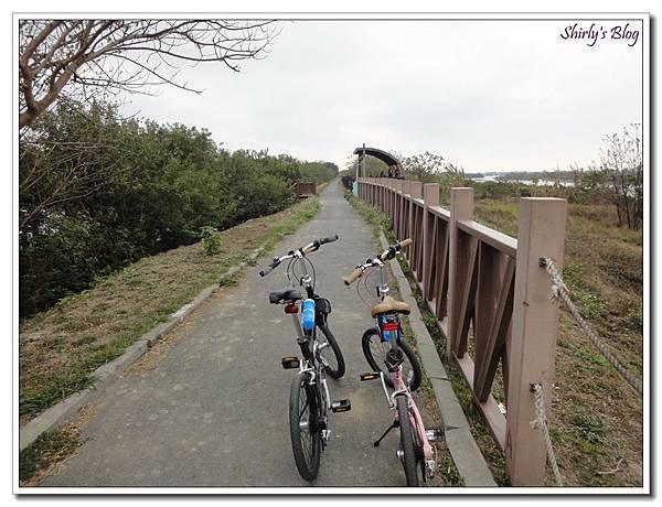 湖濱水鳥公園
