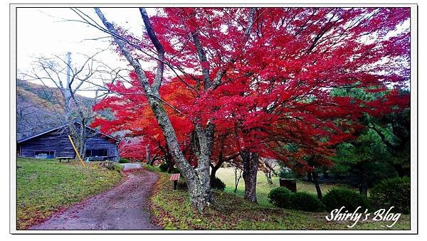 大野公園.jpg