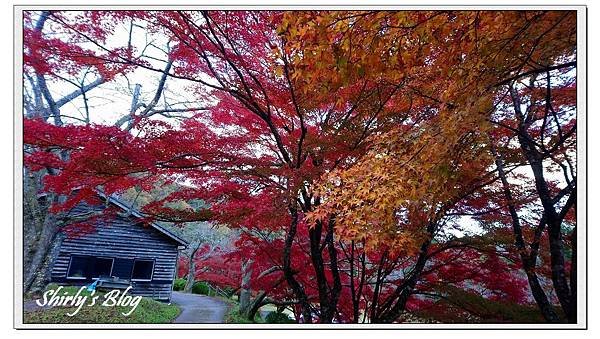 大野水壩公園..jpg