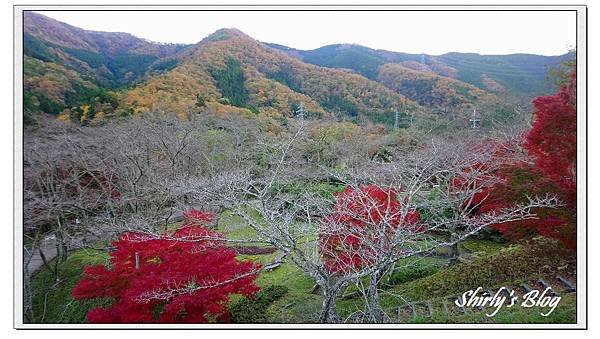 大野水壩公園-.jpg