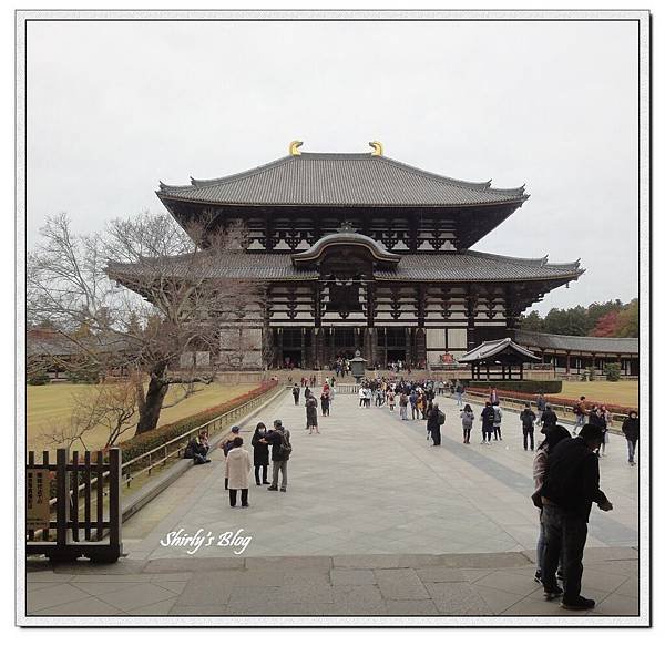 東大寺大佛殿.jpg