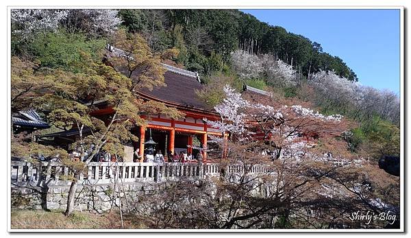 清水.JPG