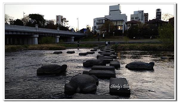 出町柳跳烏龜.JPG