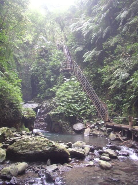 登高的木梯.JPG