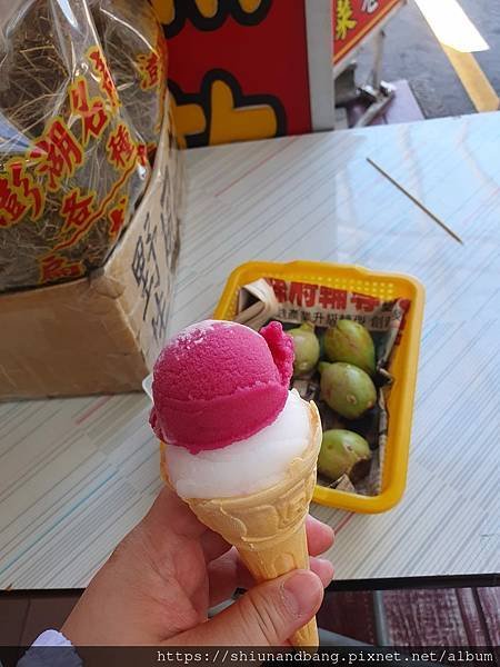 0710 大榕10.jpg