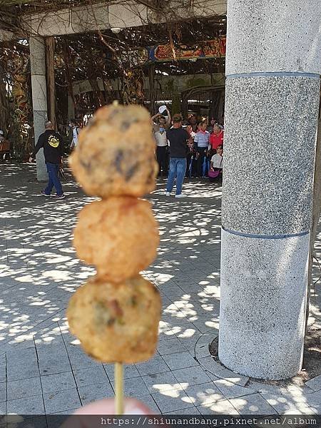 0710 大榕23.jpg