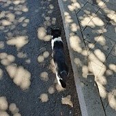 0710 大榕12.jpg