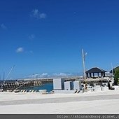 0710 大榕1.jpg