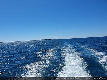 S&amp;B小勛&amp;邦邦~2023阿邦員工旅遊:澎湖3日遊~第二天: