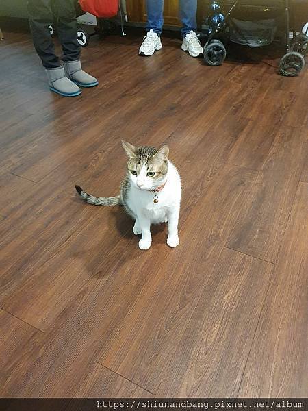20231224爬吃爬喝 7.jpg