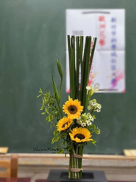IMG_E7649.JPG