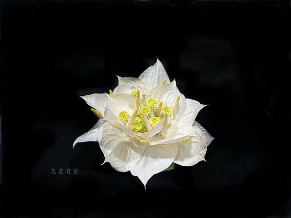 【宗教花藝設計】- 花供養