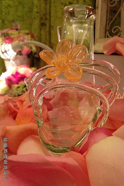 灰姑娘的夢境婚禮