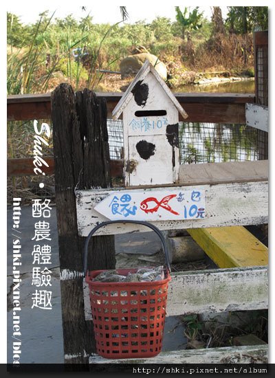 酪農體驗趣-18