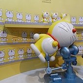 DSCN9571.jpg